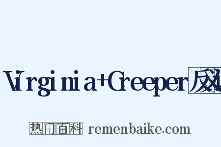 Virginia+Creeper反义词是什么意思的图片